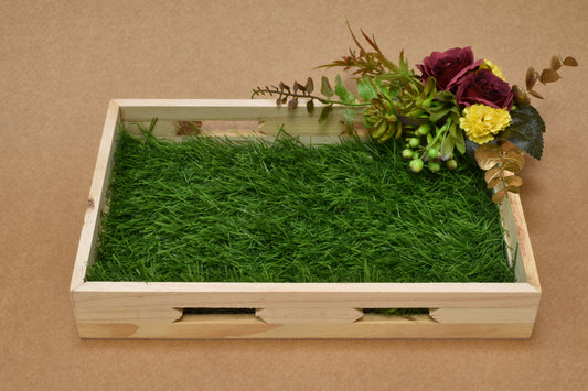 Deep Red Rose & Succulent Tray